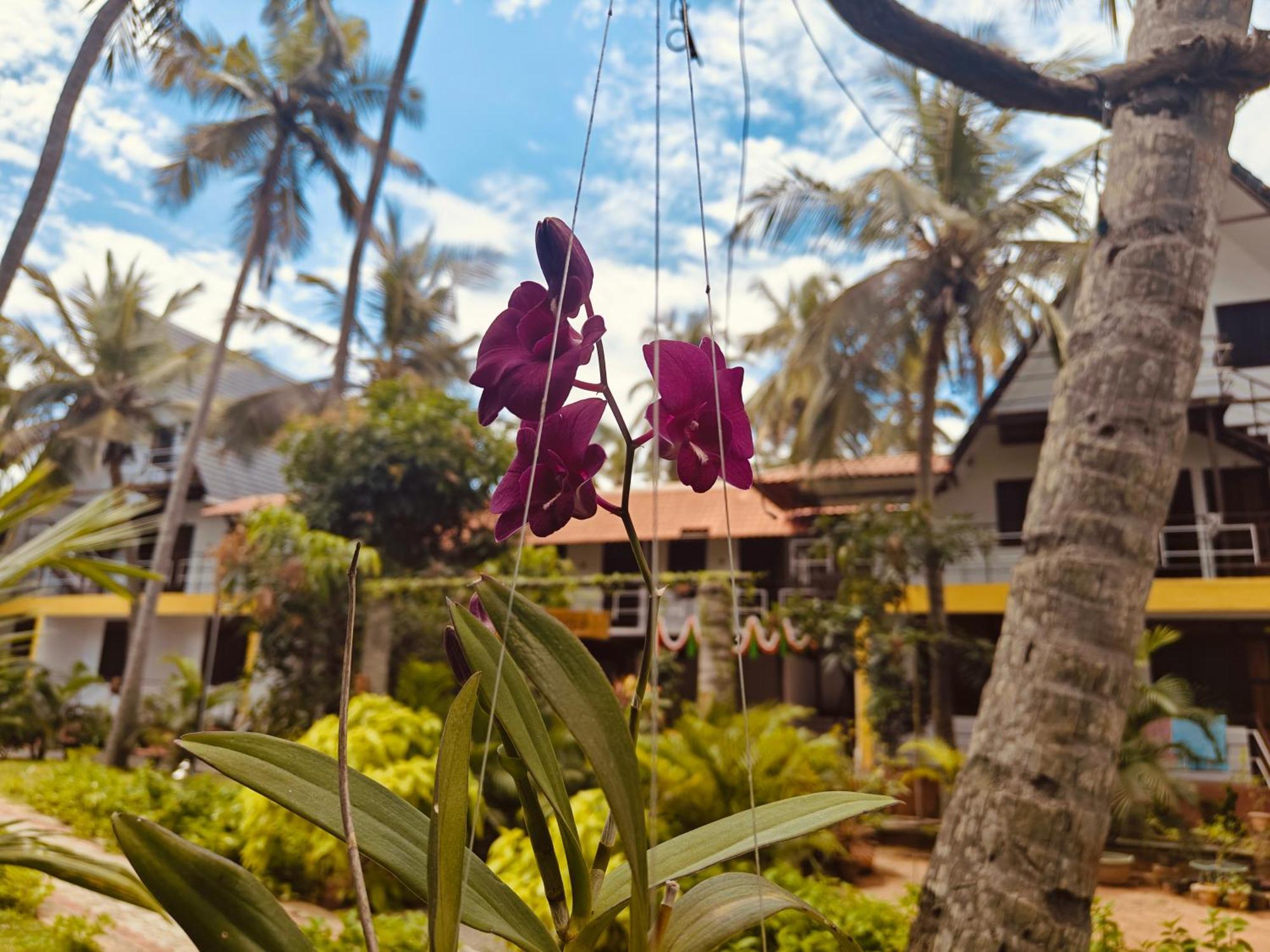Pv Cottages - Serenity Beach Pondicherry Ngoại thất bức ảnh